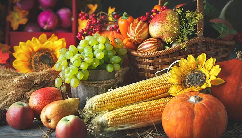 CORN, SUNFLOWER, PUMPKIN, PEAR, ROPE