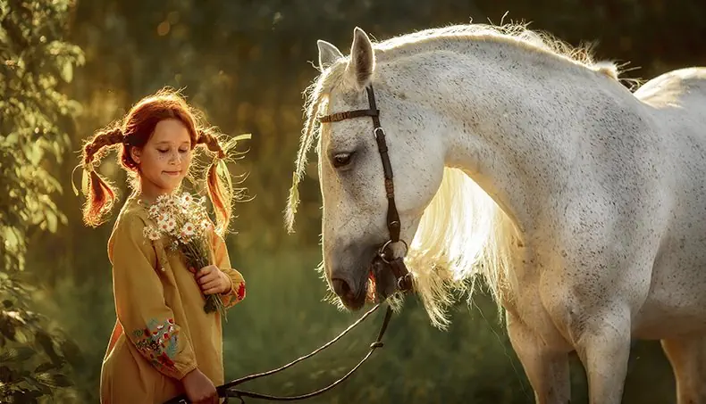 FIFI, TUNIQUE, BOUQUET, CAMOMILLE, CHEVAL
