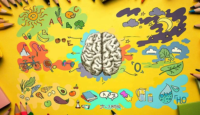 HEMISPHERE, OXYGEN, BRAIN, VITAMINS, SPORT