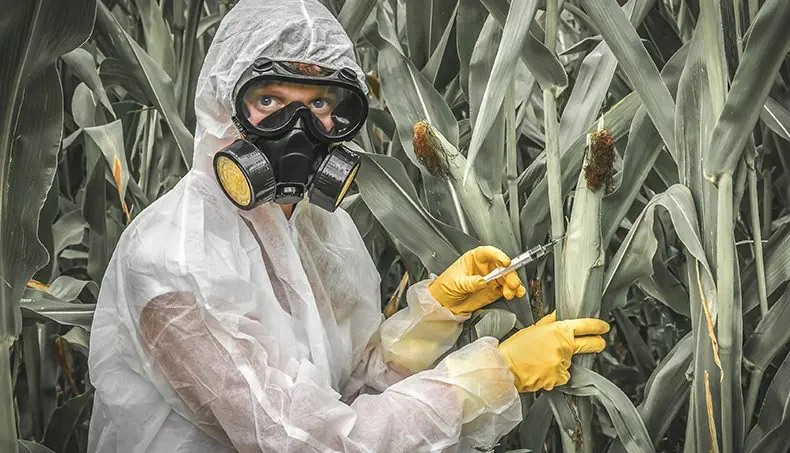 SERINGA, LUVAS, MÁSCARA RESPIRATÓRIA, ESPIGA, AGROPECUÁRIA