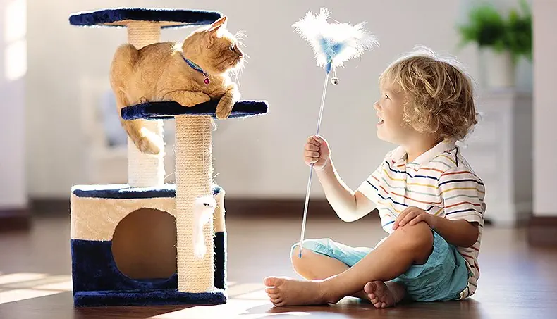 COLLARE, GATTO, CUCCIA GATTO, BAMBINO, STRISCE