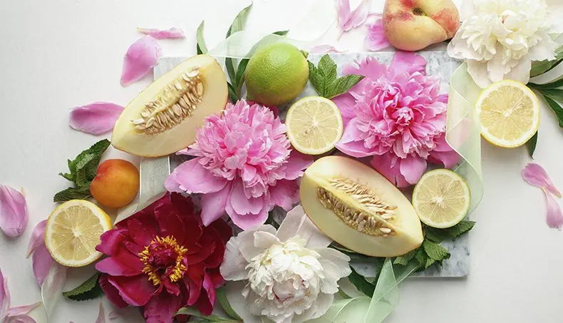 LEMON, PEONY, PEACH, LIME, APRICOT