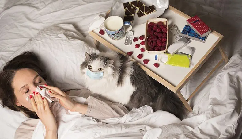 CAT, COLD, RASPBERRIES, BLISTER PACK, MASK