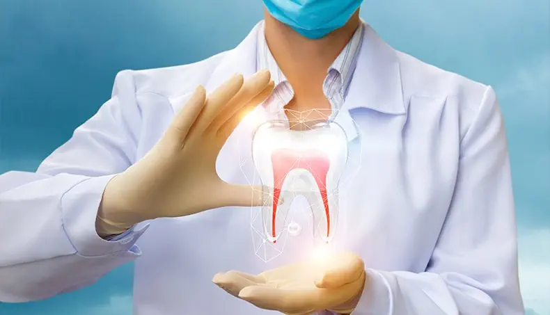 DENTIST, GLOVES, TOOTH, ROOT, ENAMEL