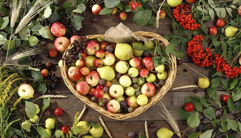 CRAB APPLES, APPLE, ROWANBERRIES, EAR, PEAR