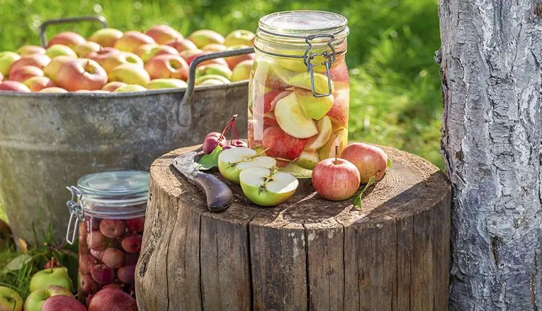 CRAB APPLES, APPLE, JAR, STUMP, WASHBOWL