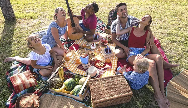 PICKNICK, GITARRE, ANANAS, WASSERMELONE, KORB