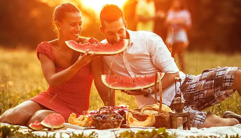 PICNIC, MEADOW, COUPLE, ENJOYMENT, WATERMELON