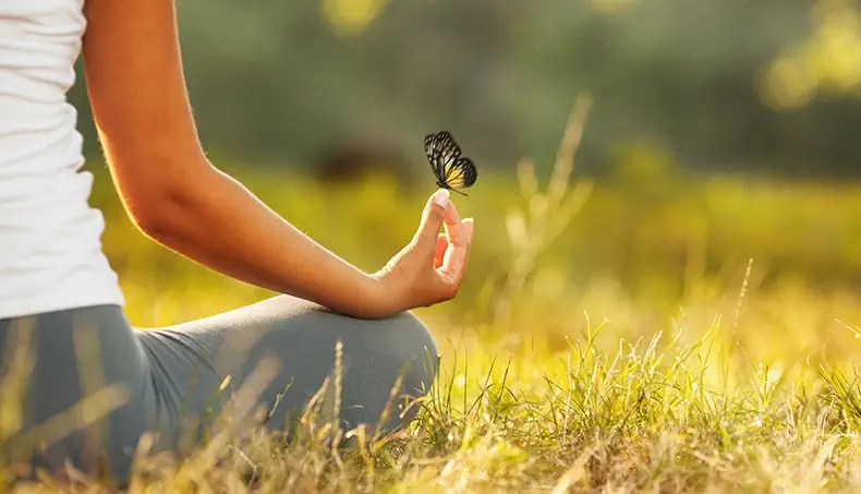 NATURE, BUTTERFLY, GRASS, MEDITATION, MUDRA