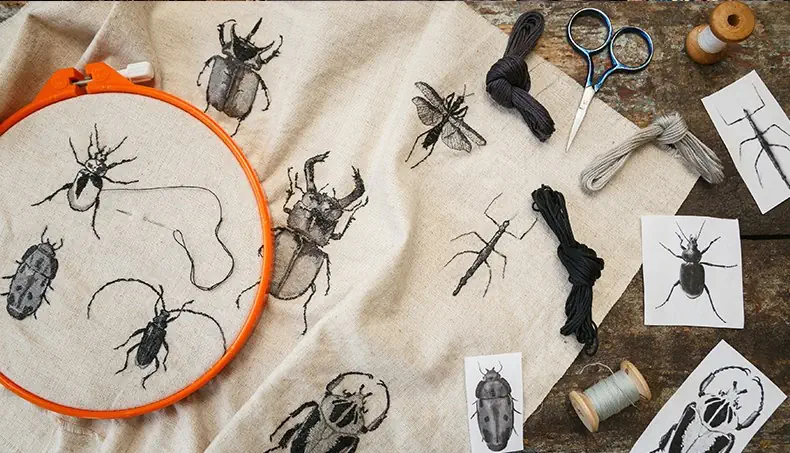 BRODERIE, COLÉOPTÈRE, CISEAUX, AIGUILLE, FIL