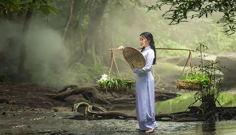 FOG, ROOTS, ASIA, DIRT, WATER