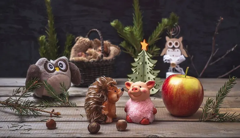 EULE, IGEL, FERKEL, APFEL, TANNE