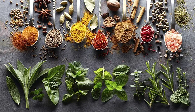 SAGE, BASIL, ROSEMARY, MINT, SALT