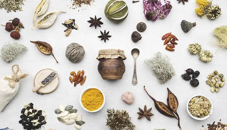 POWDER, POUCH, TEASPOON, STAR ANISE, PUMPKIN SEEDS