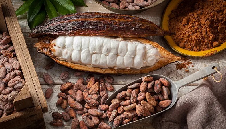 CACAO, CUILLÈRE, POUDRE, COSSE, BRUN