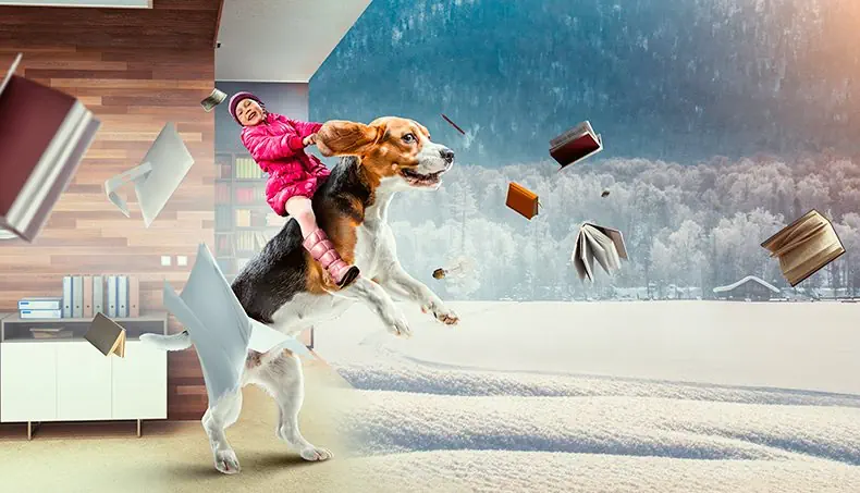 BONTJACK, RUITER, BEAGLE, MONITOR, SNEEUW