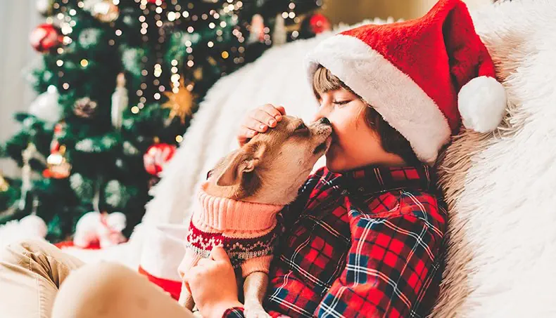 KERSTMIS, PULLOVER, KERSTMUTS, GERUIT, POM