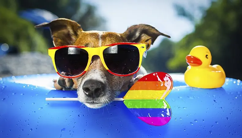 SUNGLASSES, LOLLIPOP, RUBBER DUCK, SWIM RING, DROP