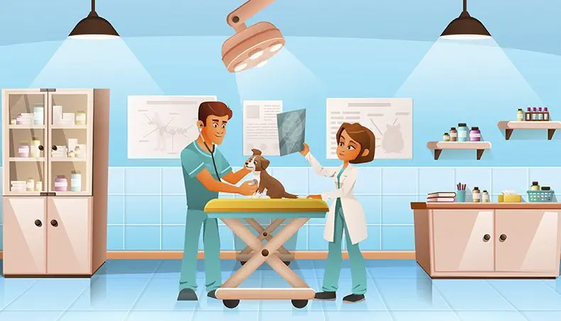 KLINIK, DYRLÆGE, KAKKEL, RØNTGENSTRÅLING, HUND
