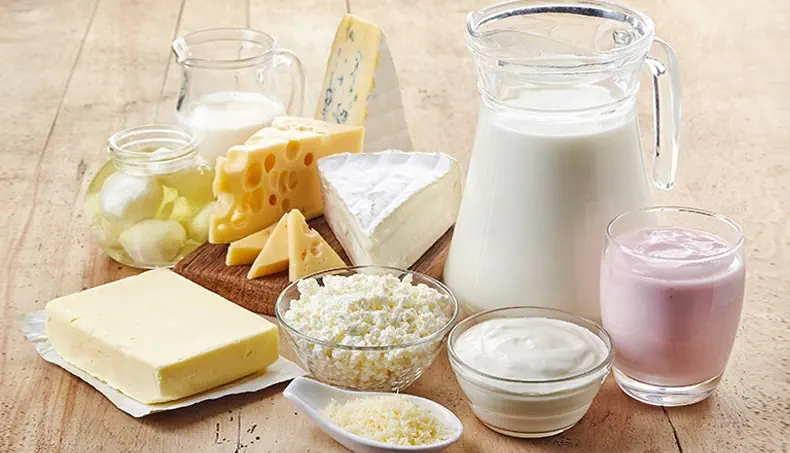 PRODUIT LAITIER, LAIT, FROMAGE FOUETTÉ, BEURRE, YOGOURT
