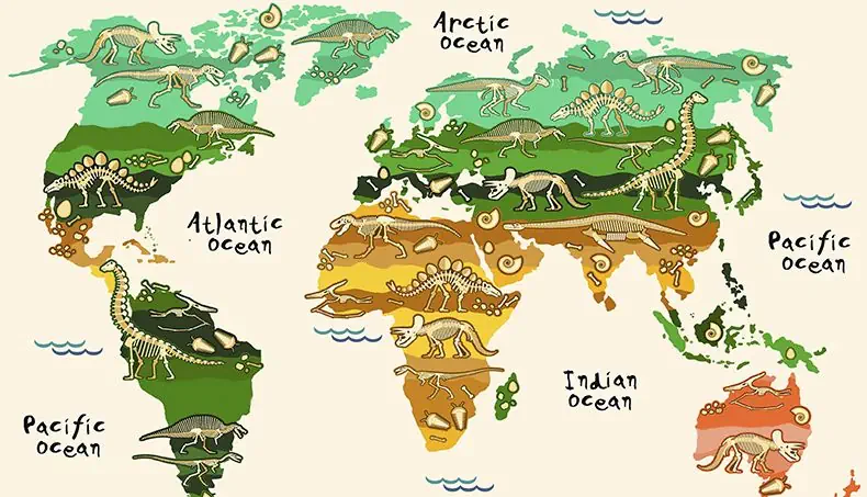 SQUELETTE, FOSSILE, DINOSAURE, AFRIQUE, AMÉRIQUE