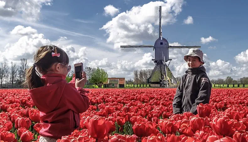 FRÈRE, SOEUR, TULIPES, MOULIN, PAYS-BAS