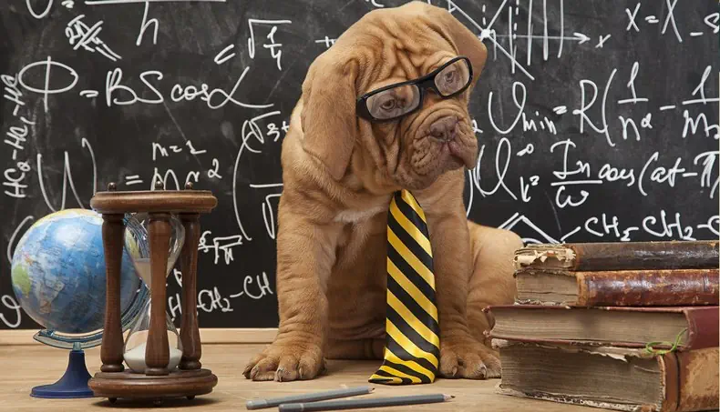 CRAVATE, GLOBE, SABLIER, LIVRES, CHIEN