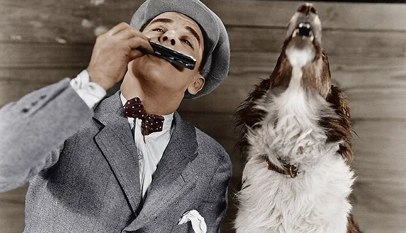 MUNNSPILL, HUND, MUSIKK, SIKSPENS, SLØYFE