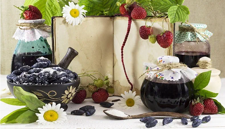 AARDBEIEN, KAMPERFOELIE, STAMPER, KAMILLE, POT