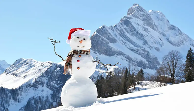 BONHOMME, BRAS, PENTE, FORÊT, NEIGE