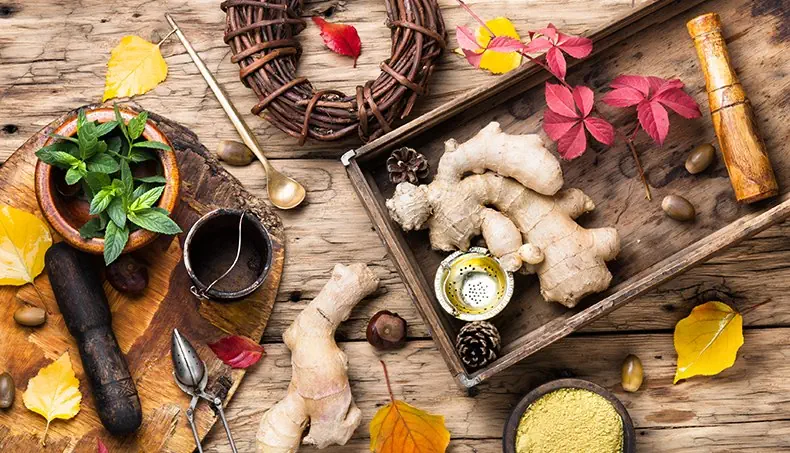 GENGIBRE, INGREDIENTES, FOLHA, PISTILO, HORTELÃ