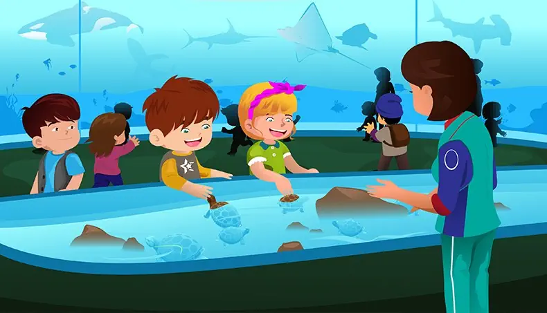 AQUARIUM, ORQUE, TORTUE, REQUIN, MARLIN