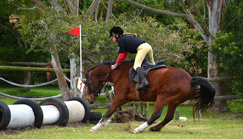 CAVALIER, CHEVAL, OBSTACLE, FANION, CORDE