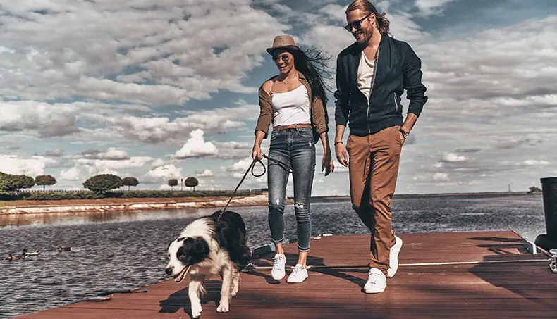 BORDERCOLLIE, JOGGESKO, DONGERIBUKSE, PAR, BÅND