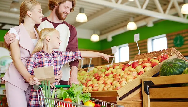 LAMP, APPLE, WATERMELON, LETTUCE, CART