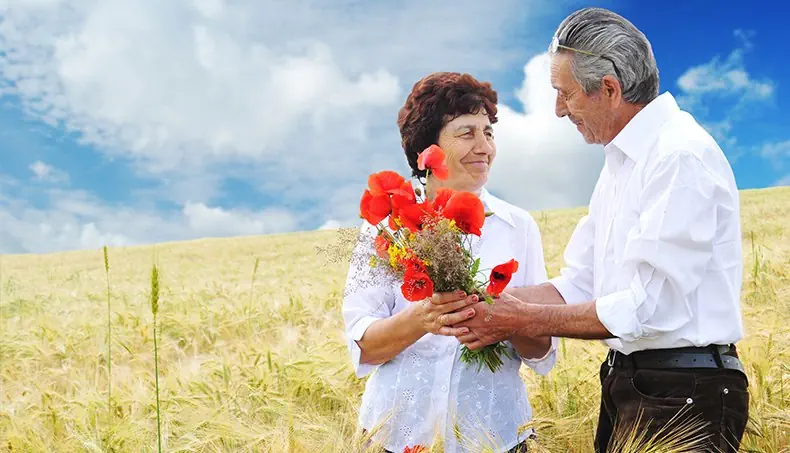 COQUELICOT, PAIRE, CHEVEUX GRIS, CHAMP, CAMPAGNE