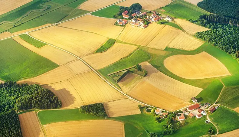 TOP VIEW, HOUSE, FOREST, FIELD, AGRICULTURE