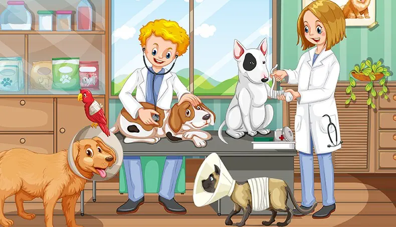 CONO, VETERINARIO, LORO, VENDA, CLÍNICA