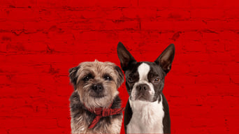 Movie poster: Strays - 2023
