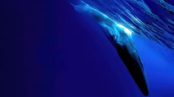 Movie: The Loneliest Whale: The Search for 52 - 