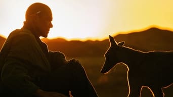 Movie: Black Dog - 2010