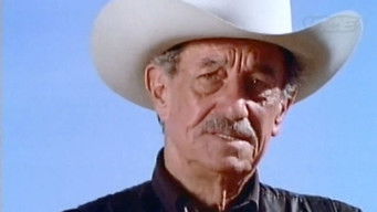 Movie poster: Pistoleros famosos - 1981