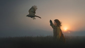 H Is for Hawk