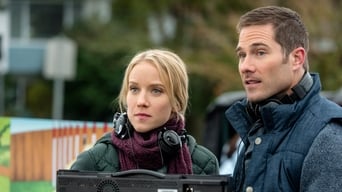 Movie poster: The Birthday Wish - 2017