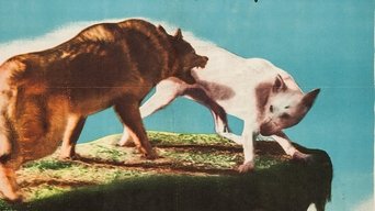 Movie poster: Kazan - 1949