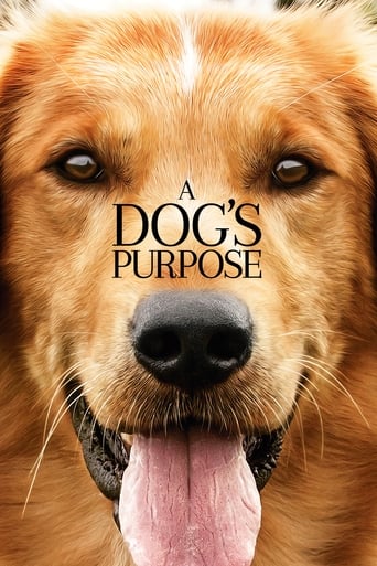 Movie: A Dog