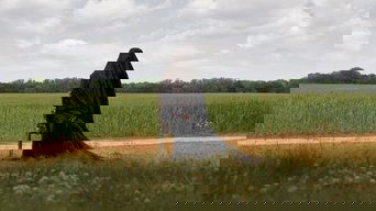 Movie: The Woman in the Yard - 2025