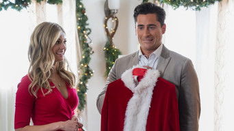 Movie poster: Christmas in Big Sky Country - 2024