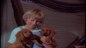 Movie poster: Where the Red Fern Grows - 1974