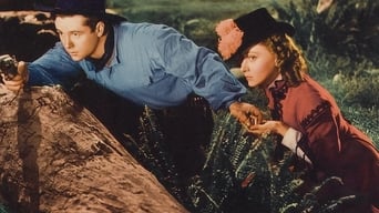 Movie poster: The Law West of Tombstone - 1938